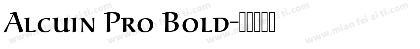 Alcuin Pro Bold字体转换